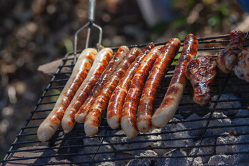 barbeque sausages and chicken, outdoors outing picnic in the park in a summer day