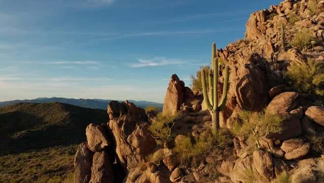Aerial sunset view of iconic Arizona cactus on rocky mountain