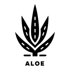 Aloe Vera plant icon vector silhouette, white background
