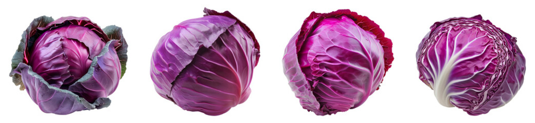 Set of red cabbage png collection