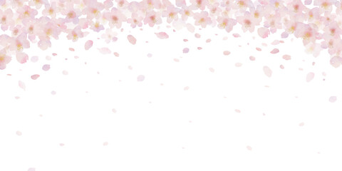 桜と桜の花びらの水彩画イラスト背景 - obrazy, fototapety, plakaty