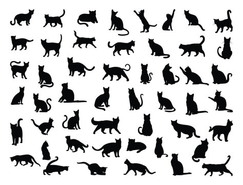 Cats silhouette vector art white background
