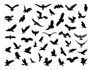Eagle silhouette vector art white background