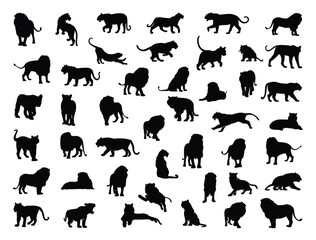 Naklejka premium Lions silhouette vector art