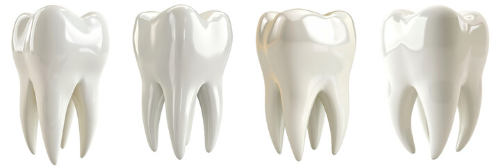 Set of elegant and shiny tooth isolated on a transparent