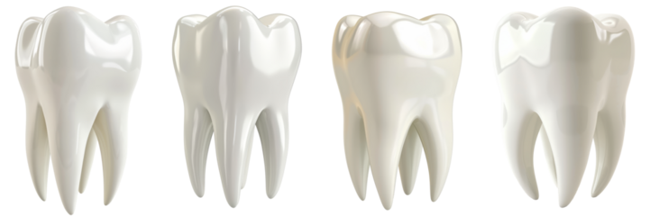 Set of elegant and shiny tooth isolated on a transparent