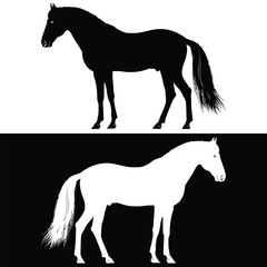 Black silhouette of horse isolated n white and black background, Beautiful horse vector design, rearing up horse, Horses silhouette vector illustration, horse vector