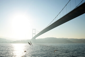 Fototapeta premium Seagull flying over the sea against the backdrop of the mountain and the bridge