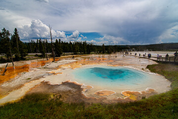 Artist Paint Pots Yellowstone