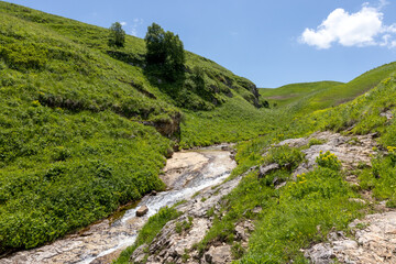 the source of the mountain river originates in the mountains on alpine meadows.