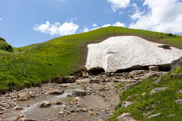 the source of the mountain river originates in the mountains on alpine meadows.