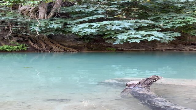 cascadas de comala, jalisco mexico