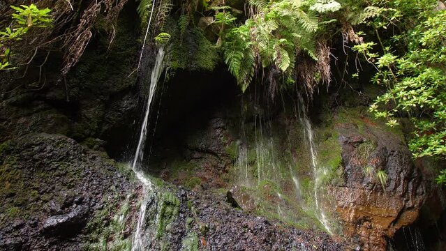 25 Fontes Madeira Cascada da Risco waterfall exotic tropical jungle