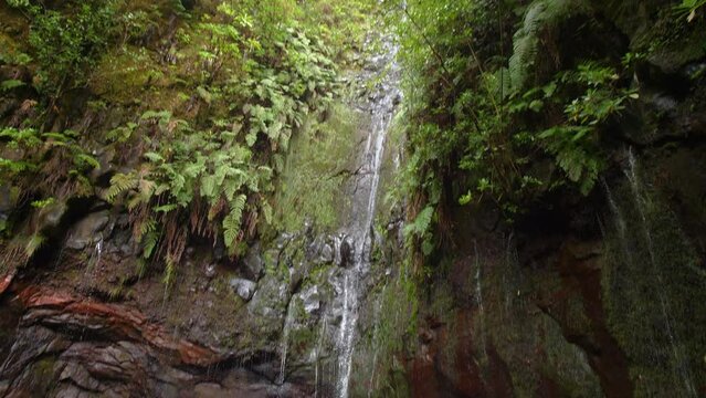 Waterfall madeira 25 Fontes Cascada da Risco pan move exotic tropical jungle