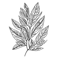 Botanic lineart with transparent background