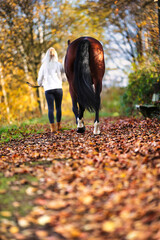 Young blonde girl with her horse walking through a colorful autumn forest.