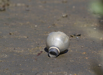 Plastic bottle waste rubbish pollution lying on the ground
