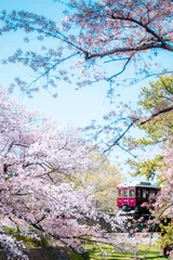 Fotobehang 夙川の桜 -Sakura- Cherry Blossoms at Shukugawa, Kobe ©  Akihito Kariya