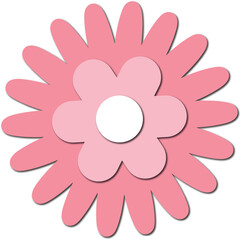 African daisy flower. Flower vector design.