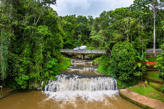 Malanda Falls, Atherton Tablelands