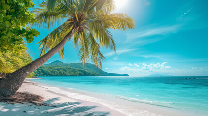 A tropical beach with palm trees, an uninhabited white sand beach and a calm sea under a sunny sky, summer relaxation and privacy. The concept of travel services. Summer background and copy space