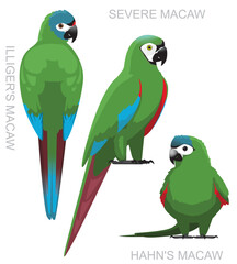 Cute Bird Mini Macaw Parrot Set Cartoon Vector © bullet_chained