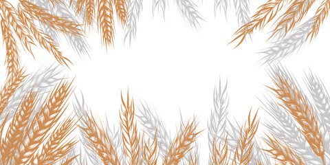 Border of spikelets of wheat, rye, barley with copy space. Background for packaging, bakery shop, flour products, farm products, vector illustration isolated on background. - obrazy, fototapety, plakaty