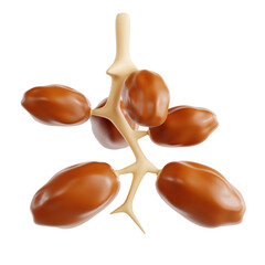 3D Illustration of Delicious Dates for Ramadan