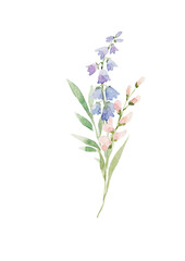 Beautiful floral illustration with watercolor hand drawn spring flowers. Stock clip art. - 729019466