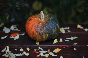 Autumn nature concept. Pumpkin vegetables on wood. Thanksgiving dinner