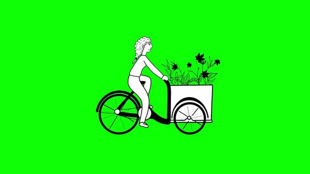 Girl cycling on road animation, cycling character full length, bicycle travel transport, Looped animation, Woman is riding bicycle, Happy girl riding a bicycle carrying flowers on greenscreen 