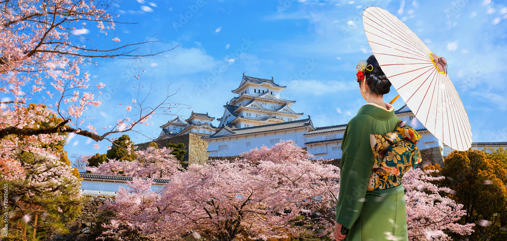 Wall mural Young Japanese woman in traditional kimono dress with full bloom cherry blossom at Himeji castle in Hyogo, Japan