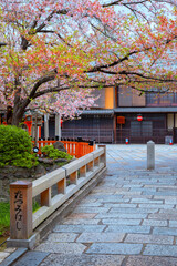 Fototapeta premium Tatsumi bashi bridge crosses Shirakawa river is the iconic place of Gion district in Kyoto, Japan