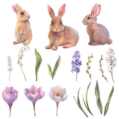 Easter watercolor set, illustrations rabbits, spring flowers in pastel colors. Hand painted illustration for happy holidays. Drawing on isolated white background for greeting cards or invitations.