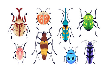 Beetles set. Summer bugs with colorful pattern on wings. Fauna species, different bright insects types with antenna, legs, top view. Flat vector illustrations isolated on white background