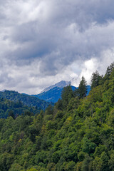 Scenic landscape at Lake Bled with woodland and the Slovenian Alps in the background on a cloudy summer day. Photo taken August 8th, 2023, Bled, Slovenia.