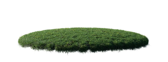 Round surface patch covered with flowers, green or dry grass isolated on white background. Realistic natural element for design. Bright 3d illustration.