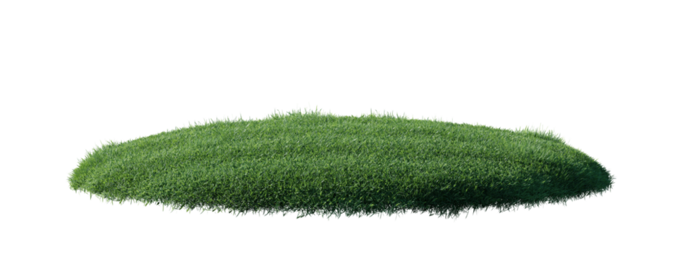 Round surface patch covered with flowers, green or dry grass isolated on white background. Realistic natural element for design. Bright 3d illustration.