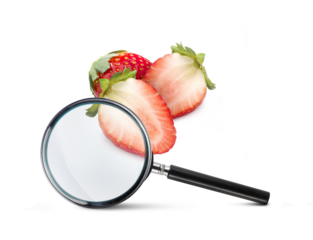 Magnifying glass and strawberry, transparent background