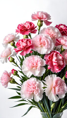 Bouquet of  pale pastel carnation  flowers. Spring image. Design for message cards with blank spaces for Easter, birthdays, anniversaries, Mother's Day, birthdays, celebrations, etc.