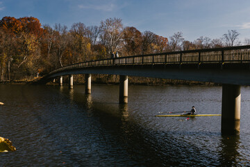 Men watch rower rowing boat along river under bridge with fall trees