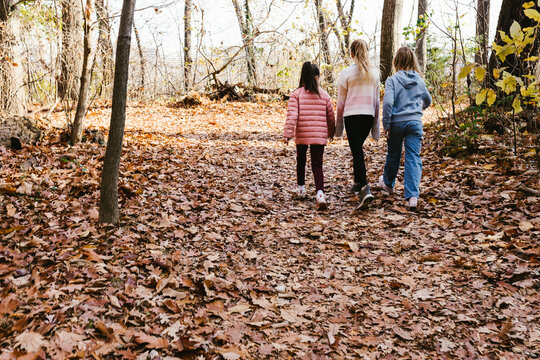 Girls hike on fall leaves path in forest with autumn colors - Powered by Adobe