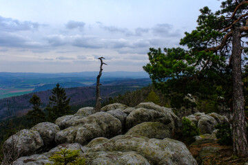 View from Great Szczeliniec Wielki
