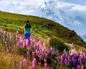 Cercles muraux Aoraki/Mount Cook hiker girl standing on the field of lupin flowers with mighty peak of mount cook in front of her  blooming colorful flowers near lake pukaki, canterbury, new zealand south island