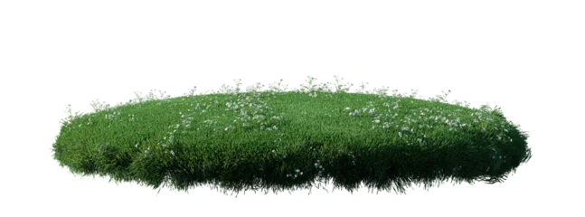 Foto op Aluminium Round surface patch covered with flowers, green or dry grass isolated on white background. Realistic natural element for design. Bright 3d illustration. © Nawaphon