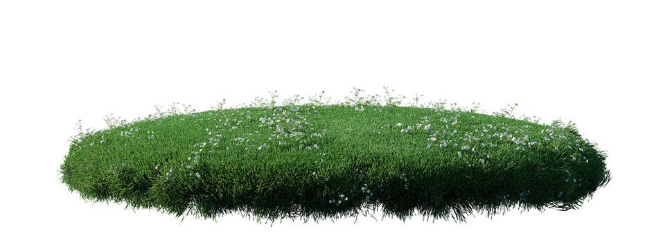 Round surface patch covered with flowers, green or dry grass isolated on white background. Realistic natural element for design. Bright 3d illustration.