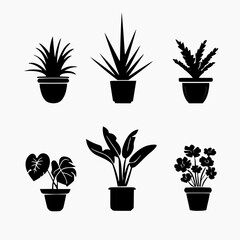 set of indoor ornamental plant icons. white background