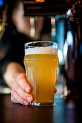 bartender's hand hold full glass of craft beer in a bar