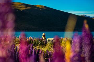 beautiful girl in yellow dress and hat standing on the field of colorful lupins and enjoying the...