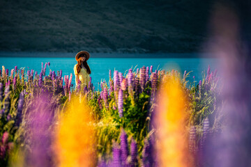beautiful girl in yellow dress and hat standing on the field of colorful lupins and enjoying the sunset over lake tekapo; unique flowers near mountaineous lake in new zealand, south island, canterbury - obrazy, fototapety, plakaty